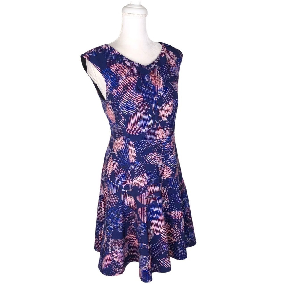 Rebecca Taylor fit-and-flare a-line pink blue v-neck dress sz 6 cap sleeves